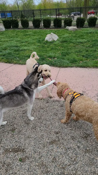 Brownstown Dog Park 7