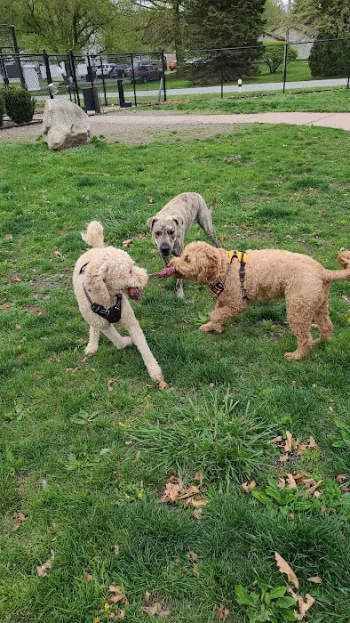 Brownstown Dog Park 2