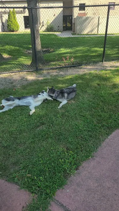 Brownstown Dog Park 4