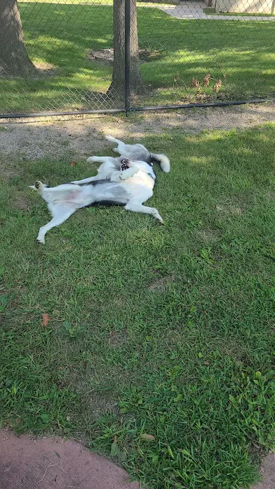 Brownstown Dog Park 3