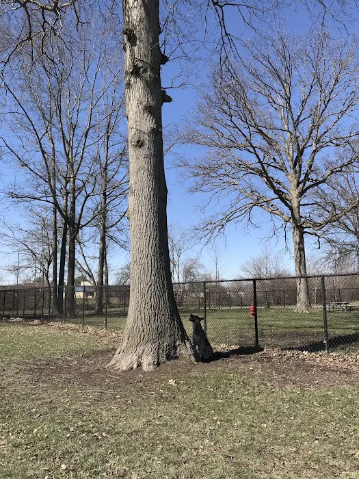 WOOFhaven Dog Park (Membership Required) 2