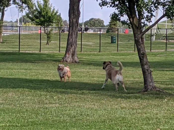WOOFhaven Dog Park (Membership Required) 4