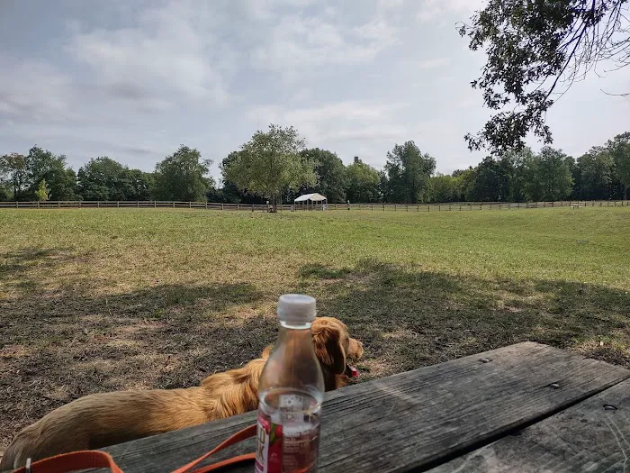 Stony Creek Dog Park 10