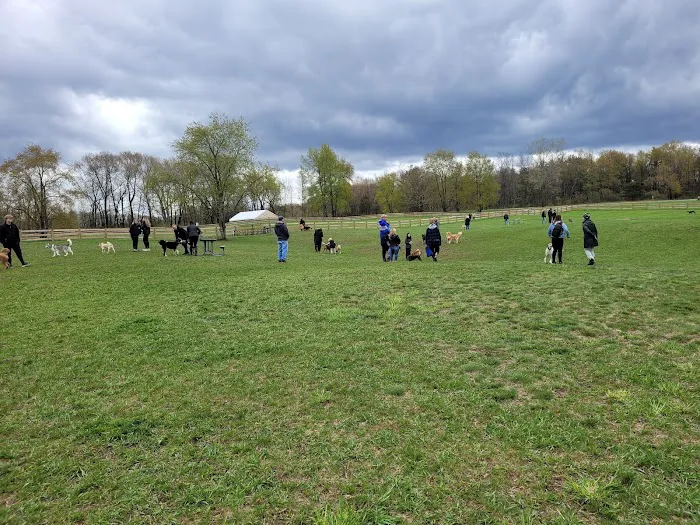 Stony Creek Dog Park 4
