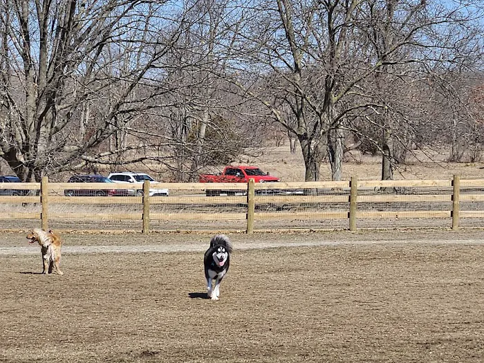 Stony Creek Dog Park 9