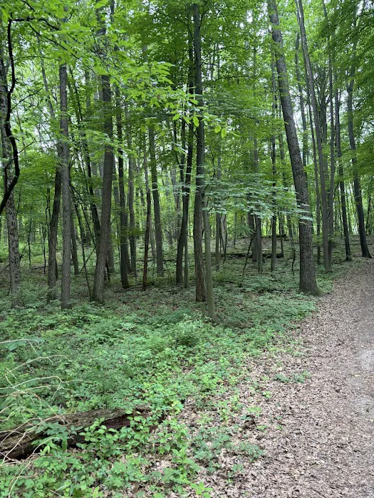 Stony Creek Dog Park 6