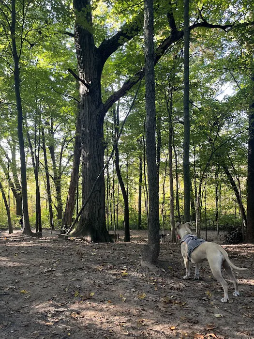 Orion Oaks Dog Park Beach 9