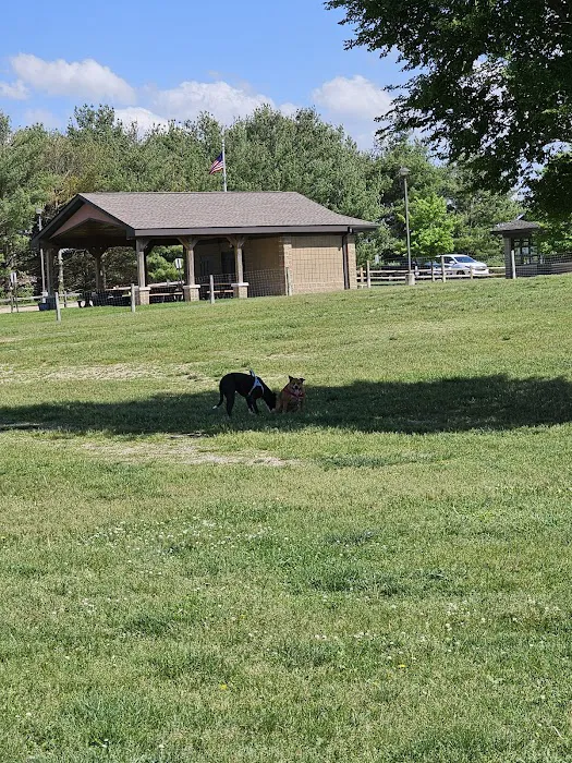 Orion Oaks Dog Park Beach 8