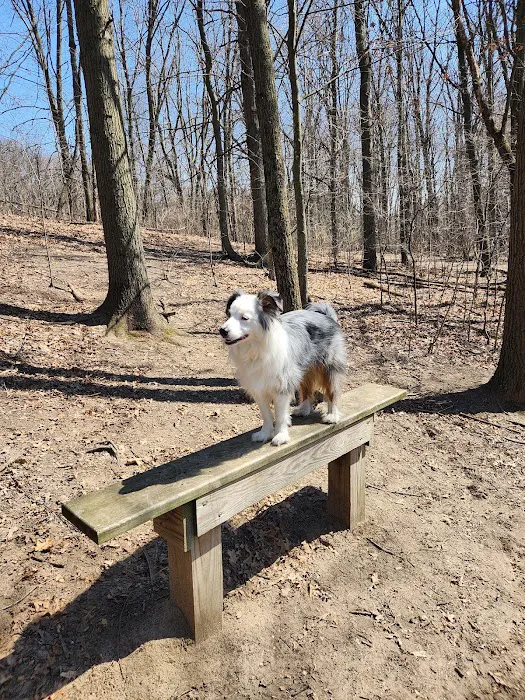 Orion Oaks Dog Park 8