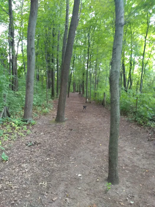 Orion Oaks Dog Park 4