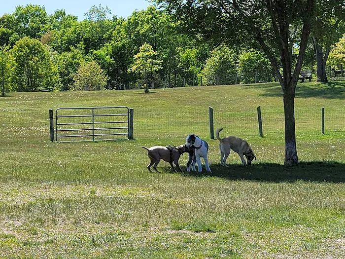 Orion Oaks Dog Park 5