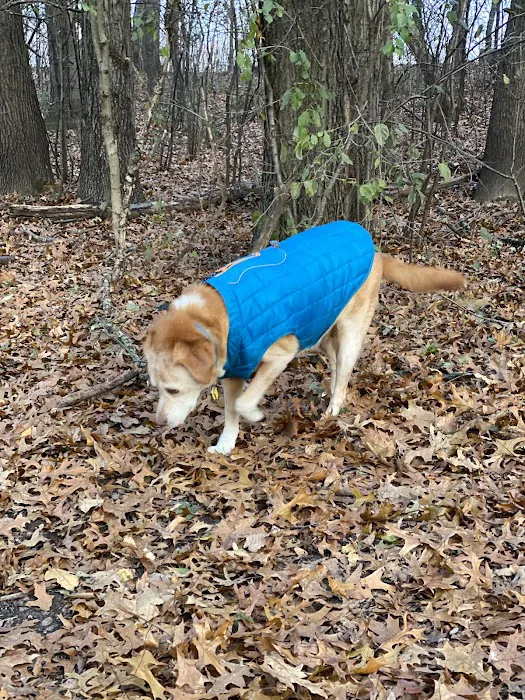 Orion Oaks Dog Park 1