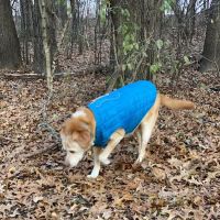Orion Oaks Dog Park ico