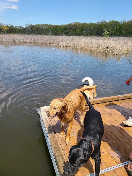 Orion Oaks Dog Park 9