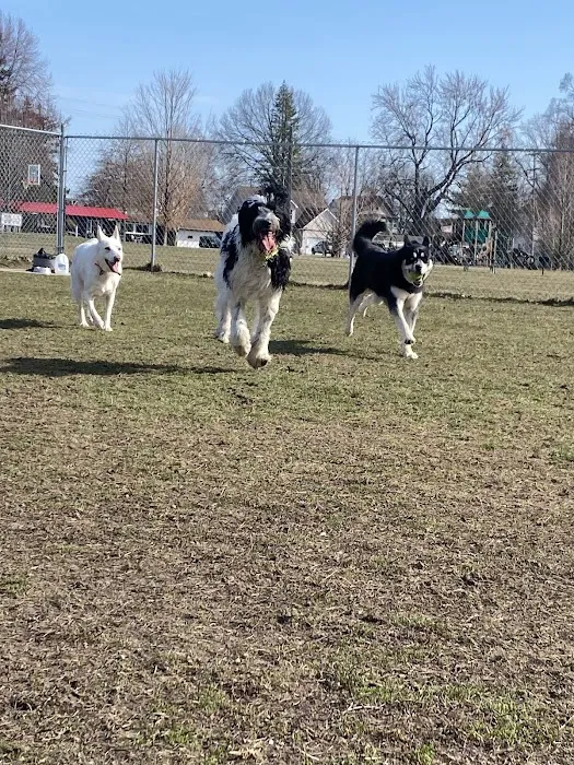 Algonac Dog Park 6