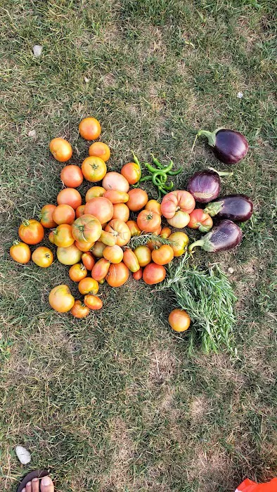 Karner Farm 10