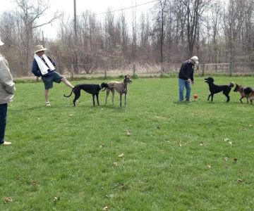 Karner Farm