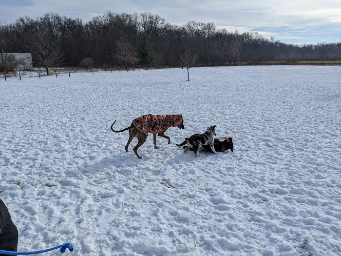 Lyon Oaks Dog Park 6
