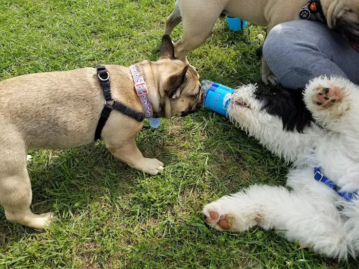 Lyon Oaks Dog Park 10