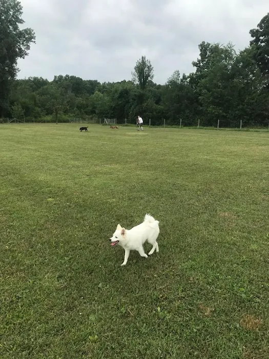 Lyon Oaks Dog Park 5