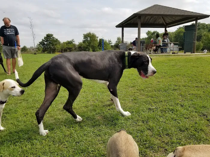 Lyon Oaks Dog Park 8