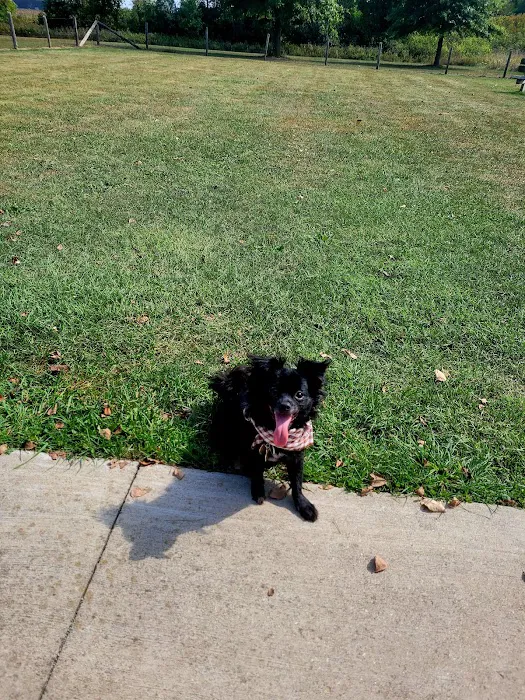 Lyon Oaks Dog Park 9
