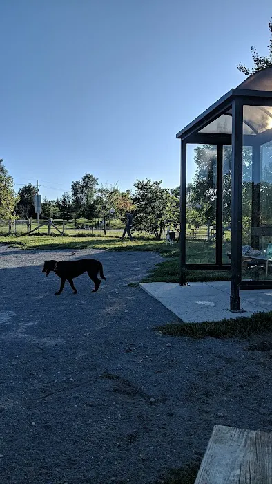 Olson Dog Park 8
