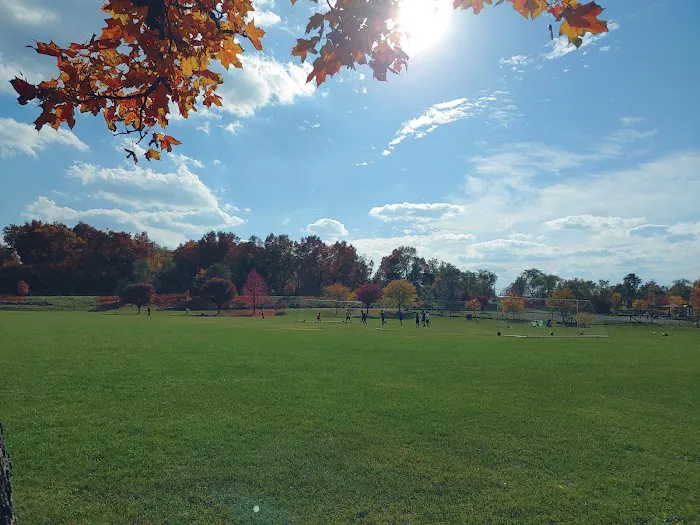 Olson Dog Park 7
