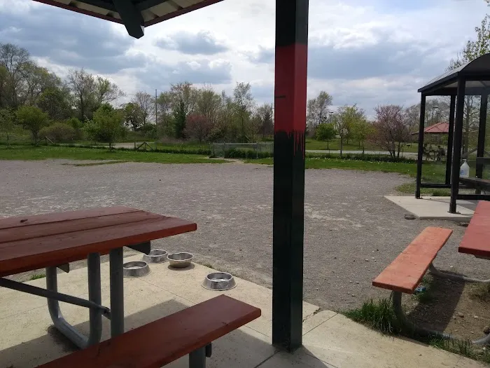 Olson Dog Park 6