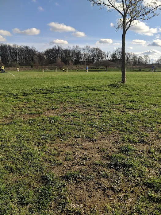 Olson Dog Park 10