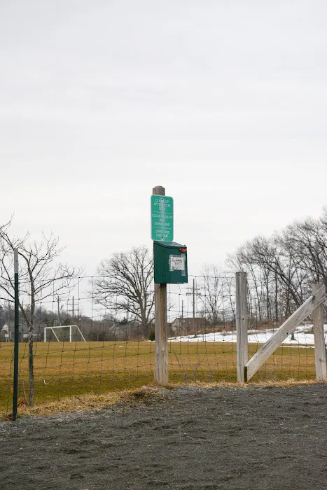 Olson Dog Park 1