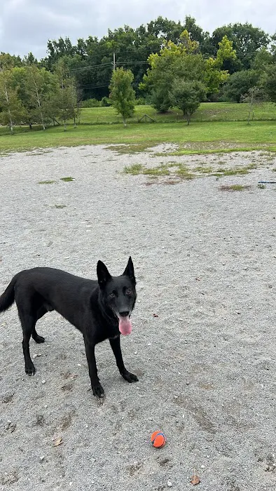 Olson Dog Park 4