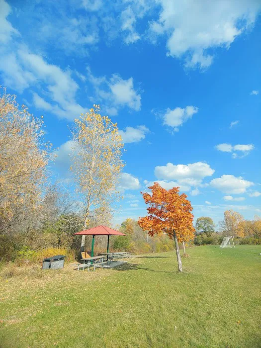 Olson Dog Park 9