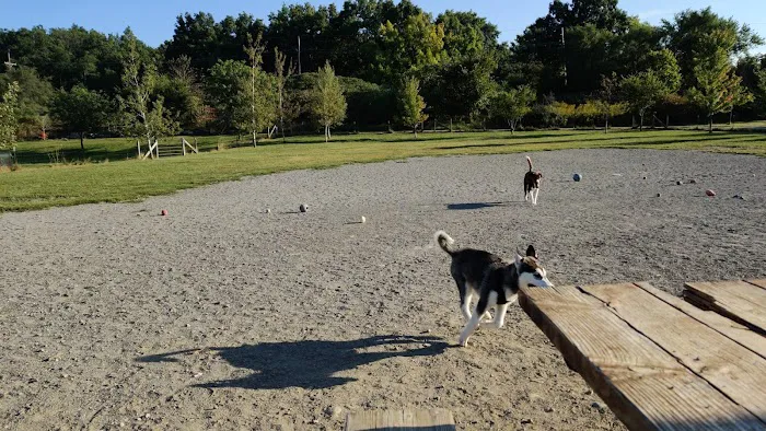 Olson Dog Park 5