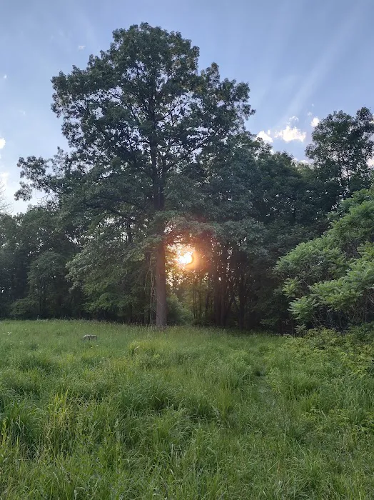 Northfield Township Dog Park 7