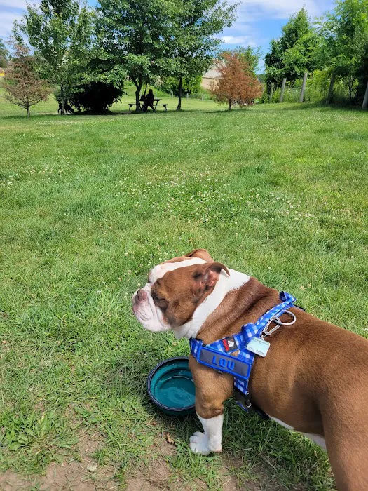 Milford Dog Park 5