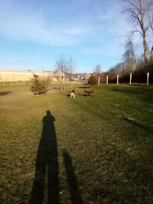 Milford Dog Park 4