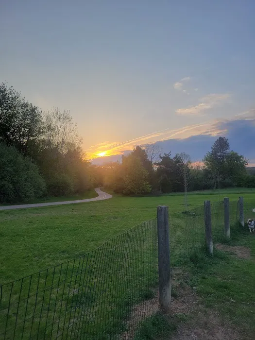 Milford Dog Park 1
