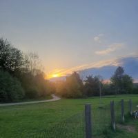 Milford Dog Park ico