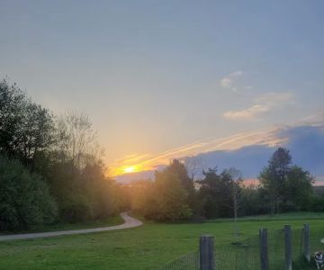 Milford Dog Park