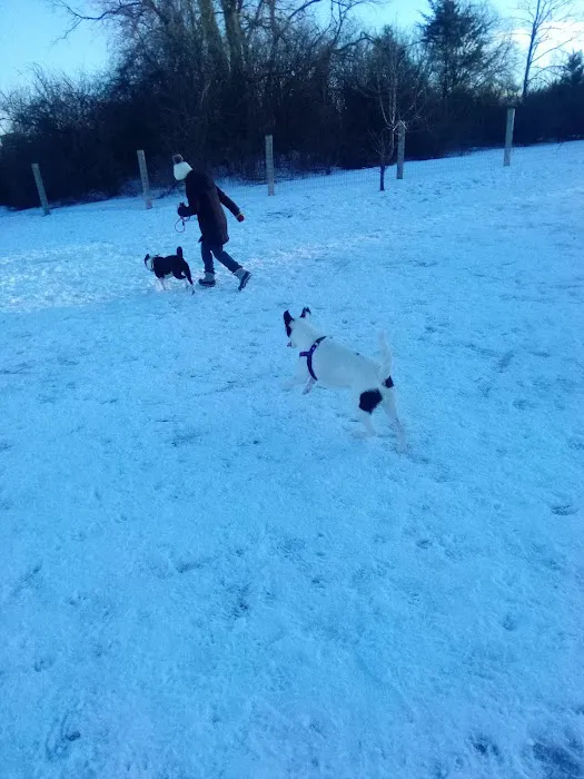 Milford Dog Park 6