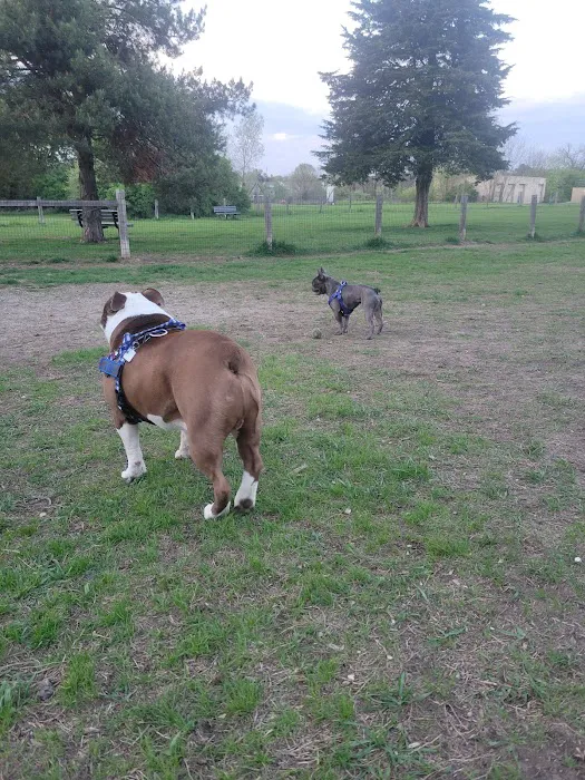 Milford Dog Park 3