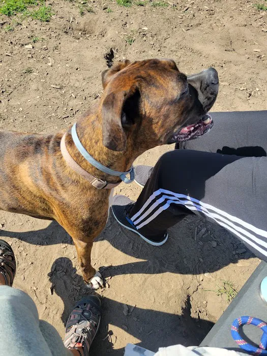Milford Dog Park 2