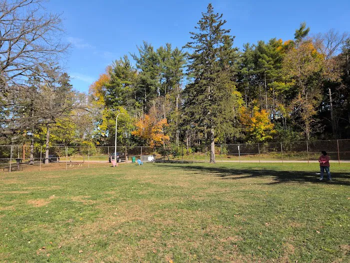 Curtiss Park Dog Park 2