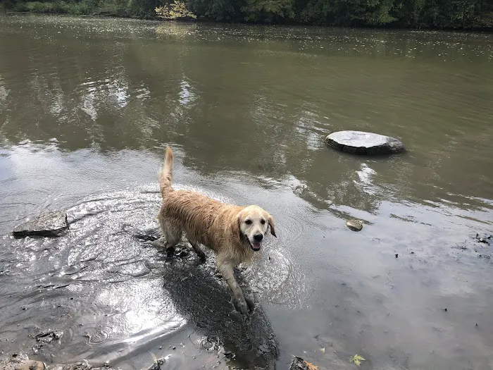 Mill Pond Park 4