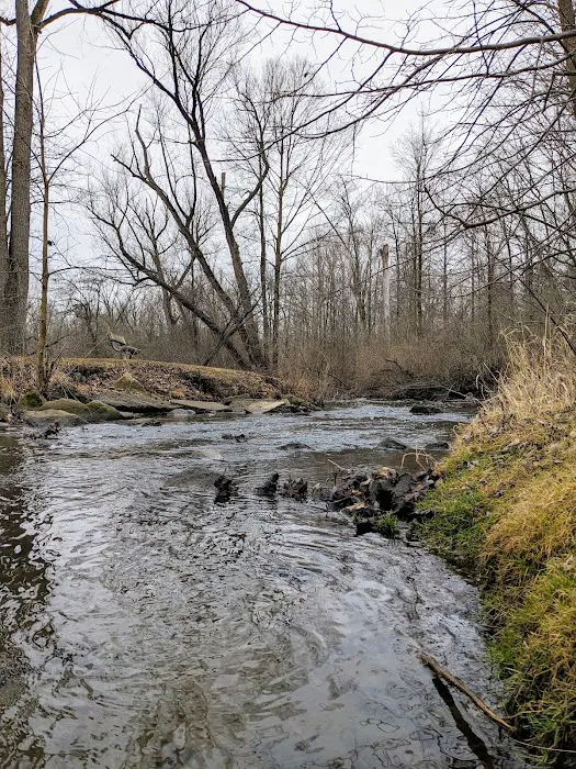 Mill Pond Park 1