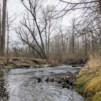 Mill Pond Park ico