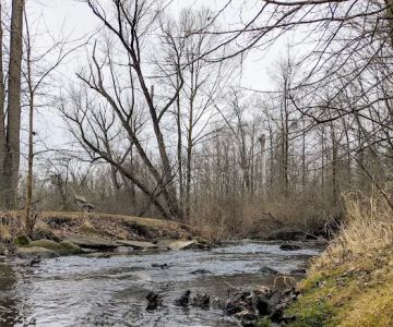 Mill Pond Park