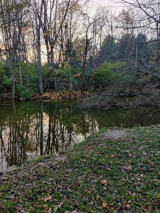 Mill Pond Park 9