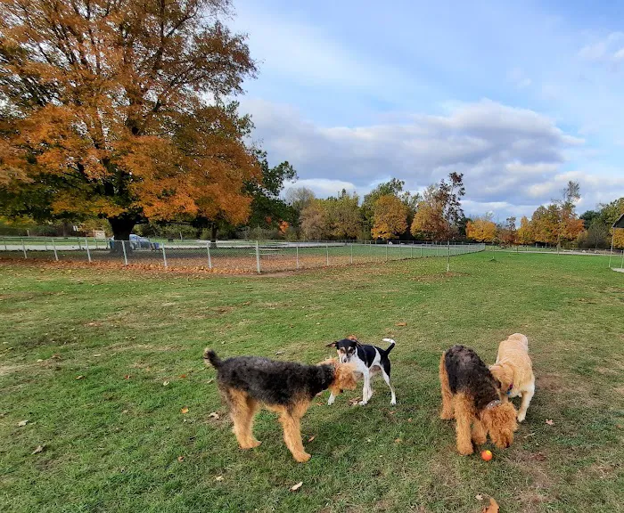 Pontiac Lake Dog Park A & B 4